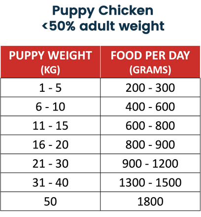 Puppy Feeding Guidelines Providog